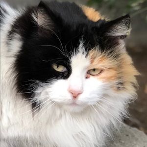 Meet your Posher, Lori